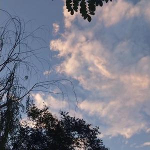 91在线无码精品㊙️威尼斯
